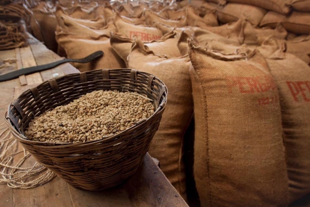 Visita guiada en cafetal